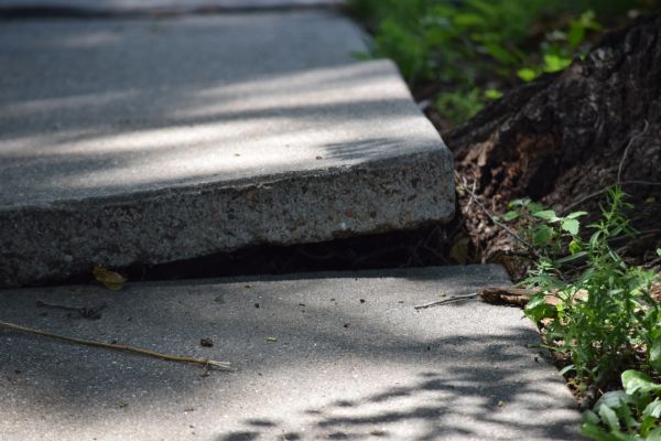 Sidewalk Leveling in Zephyrhills